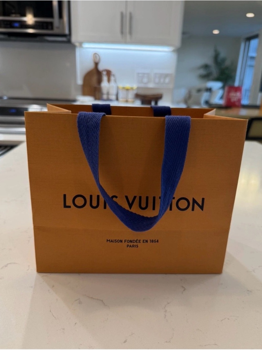 Louis Vuitton Orange Bag with Blue Ribbon Handles